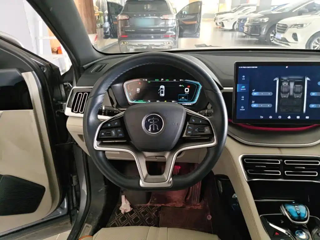 BYD PLUS New Energy — фото 11