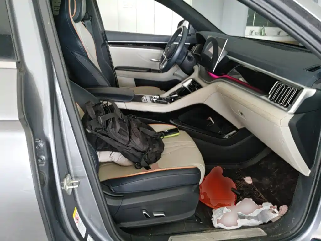 BYD PLUS New Energy — фото 25