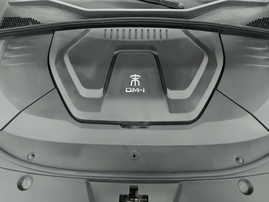 BYD PLUS New Energy — фото 10