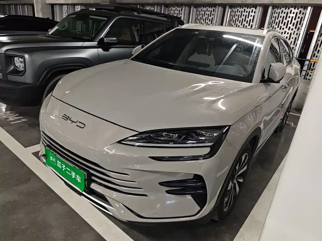 BYD PLUS New Energy — фото 2