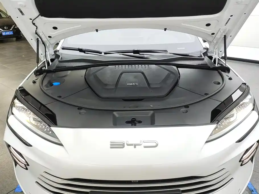 BYD PLUS New Energy — фото 10