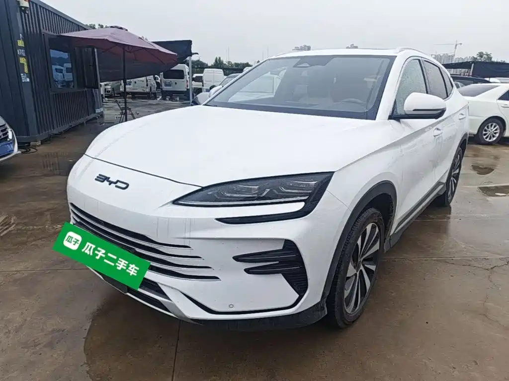 BYD PLUS New Energy — фото 2