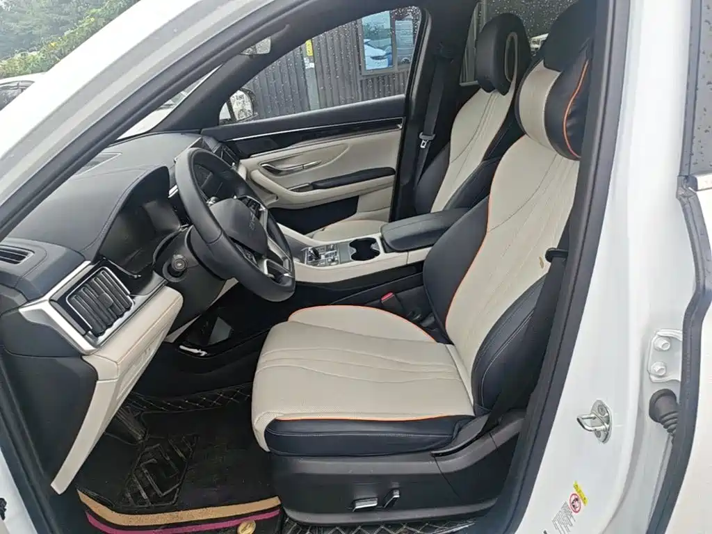 BYD PLUS New Energy — фото 15