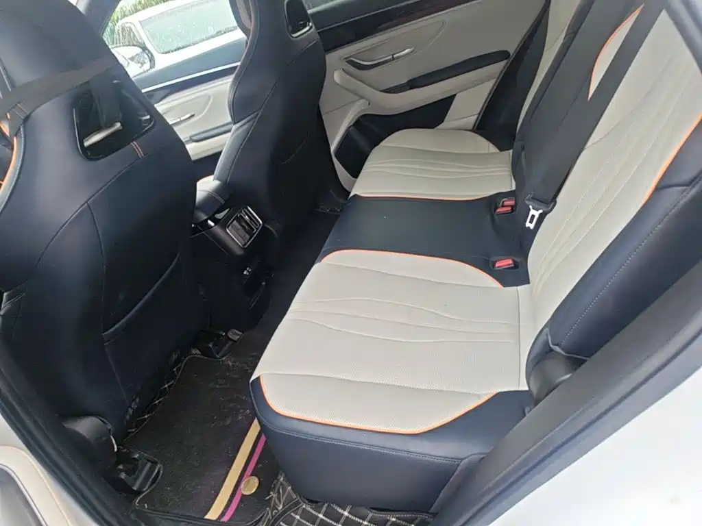 BYD PLUS New Energy — фото 17