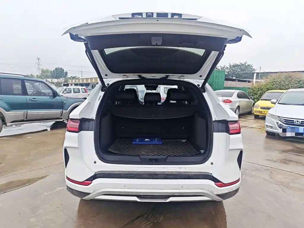 BYD PLUS New Energy — фото 19