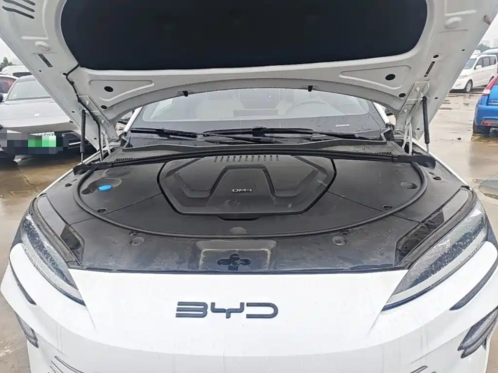 BYD PLUS New Energy — фото 20