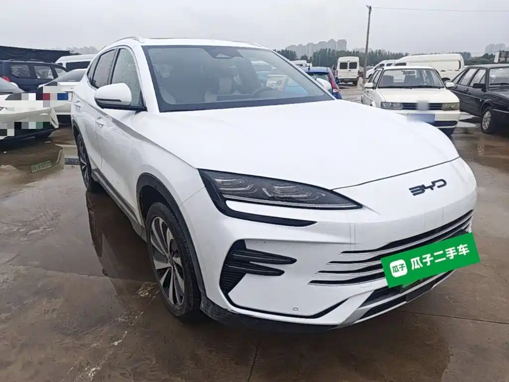 BYD PLUS New Energy — фото 4