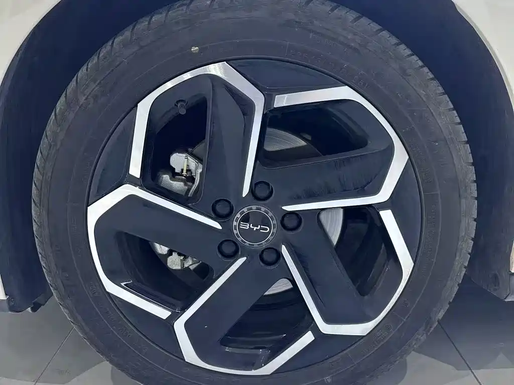 BYD Seal 06 — фото 3