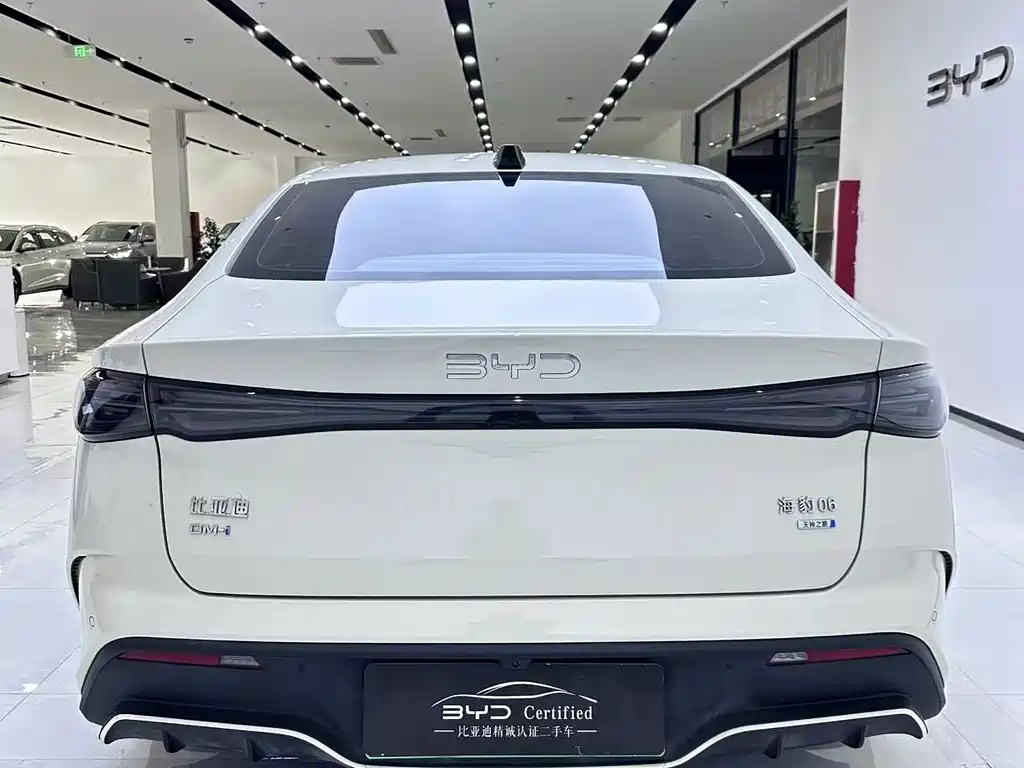 BYD Seal 06 — фото 10