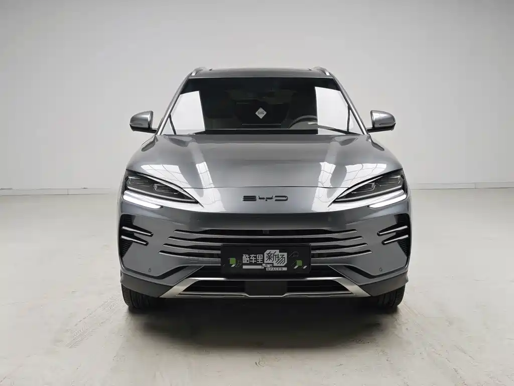 BYD PLUS New Energy — фото 2