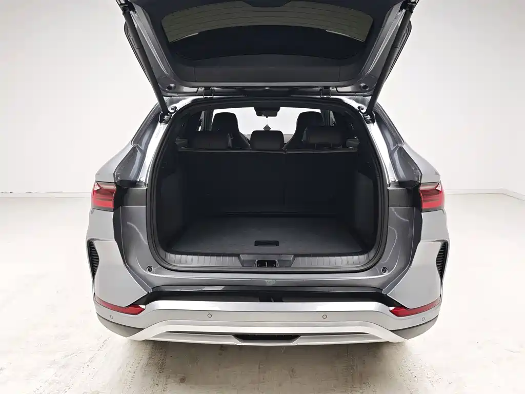 BYD PLUS New Energy — фото 11
