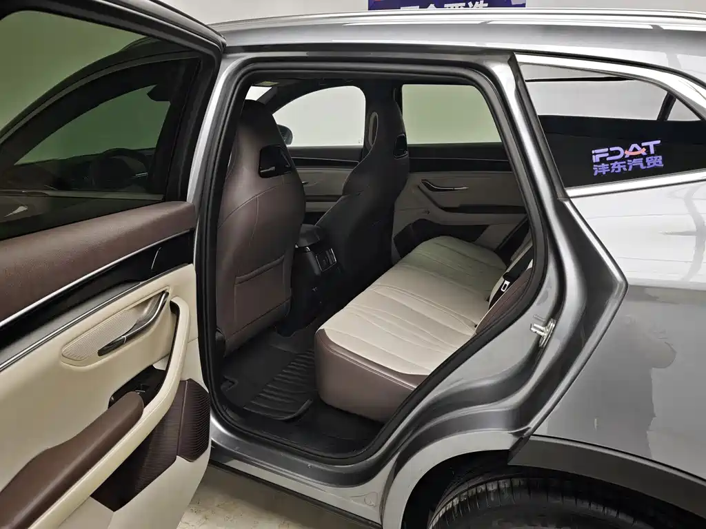BYD PLUS New Energy — фото 17