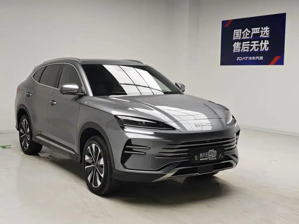 BYD PLUS New Energy — фото 3