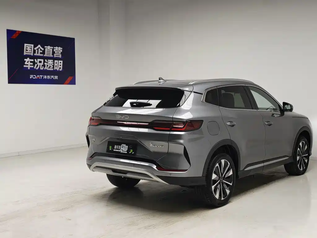 BYD PLUS New Energy — фото 4