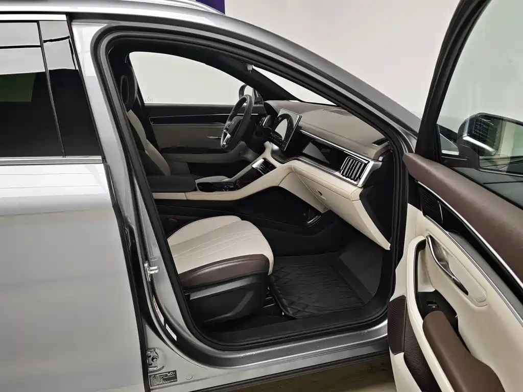 BYD PLUS New Energy — фото 10