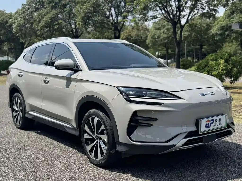 BYD PLUS New Energy — фото 3