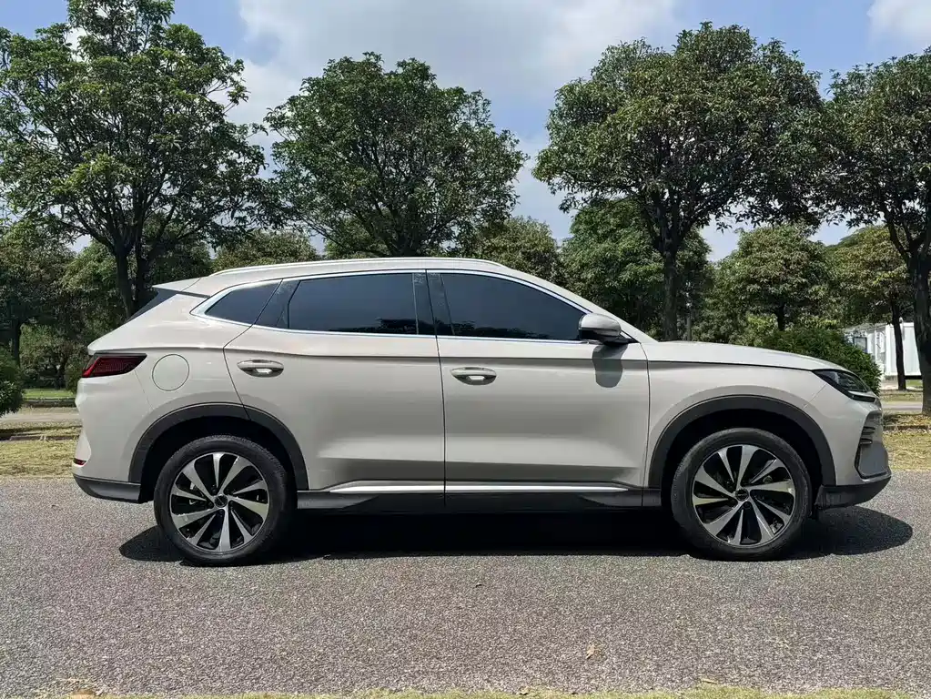 BYD PLUS New Energy — фото 4