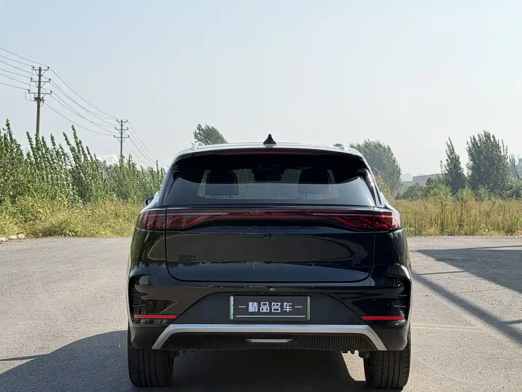 BYD Tang New Energy — фото 13