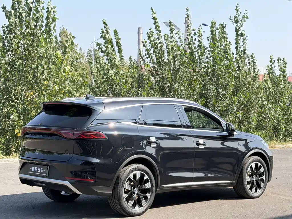 BYD Tang New Energy — фото 14