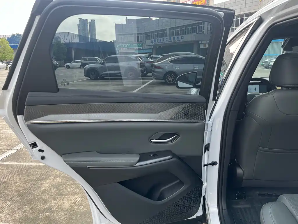 BYD Pro New Energy — фото 7
