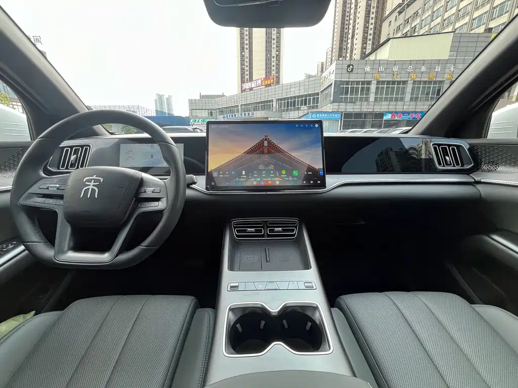 BYD Pro New Energy — фото 10