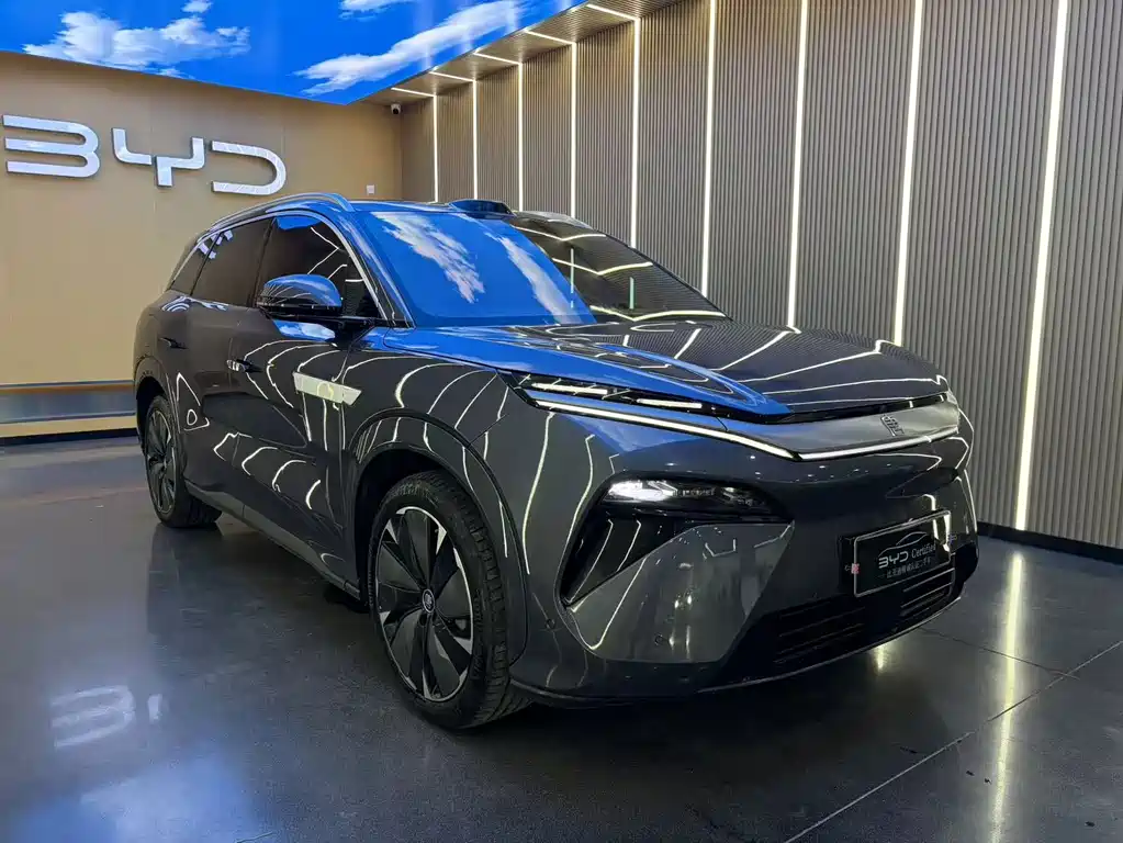 BYD Tang L — фото 3