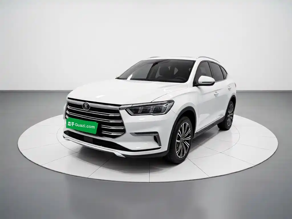 BYD Pro New Energy — фото 2