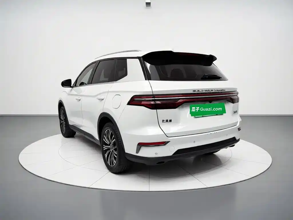 BYD Pro New Energy — фото 11