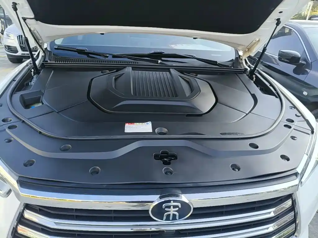BYD Pro New Energy — фото 19