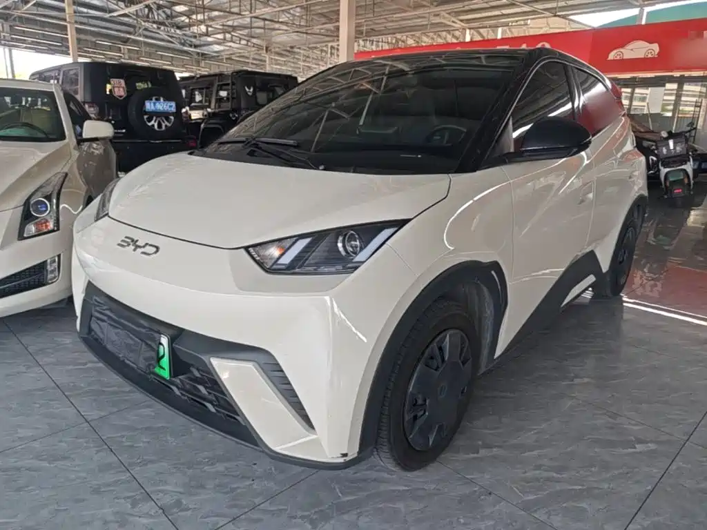 BYD Seagull — фото 2