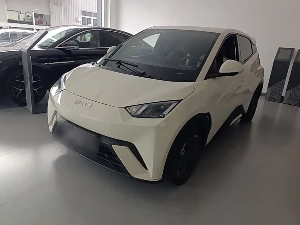 BYD Seagull