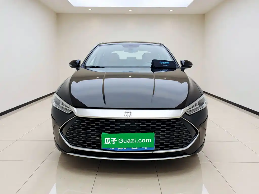 BYD Qin PLUS — фото 2
