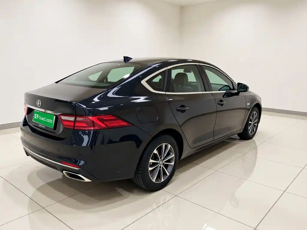 BYD Qin PLUS — фото 6