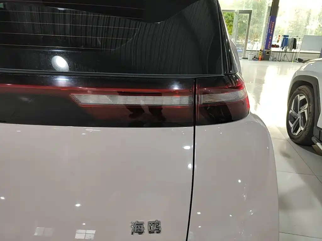 BYD Seagull — фото 8