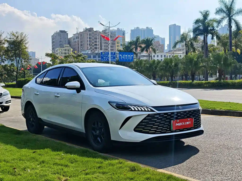 BYD Qin PLUS — фото 3