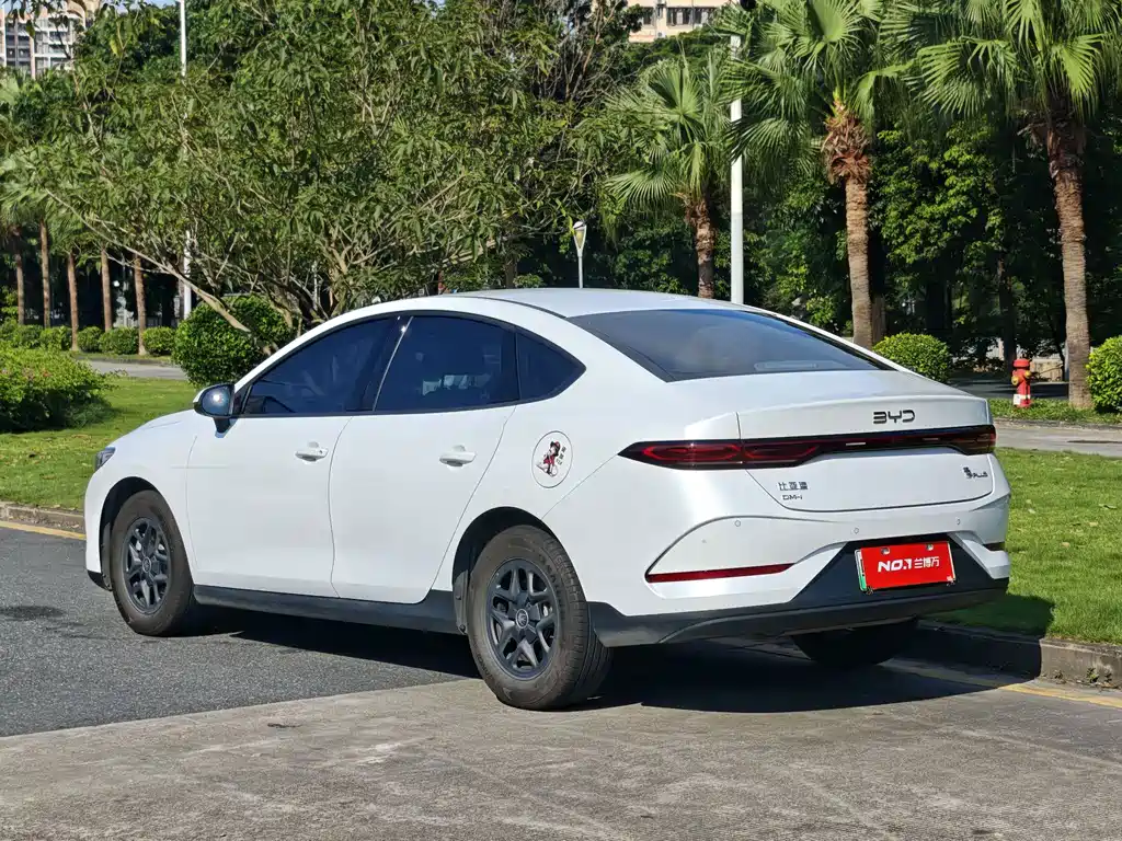 BYD Qin PLUS — фото 4