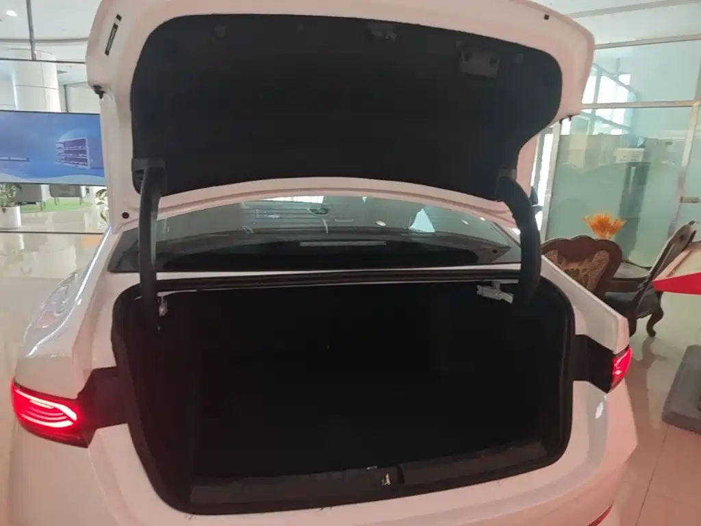 BYD Qin PLUS — фото 19