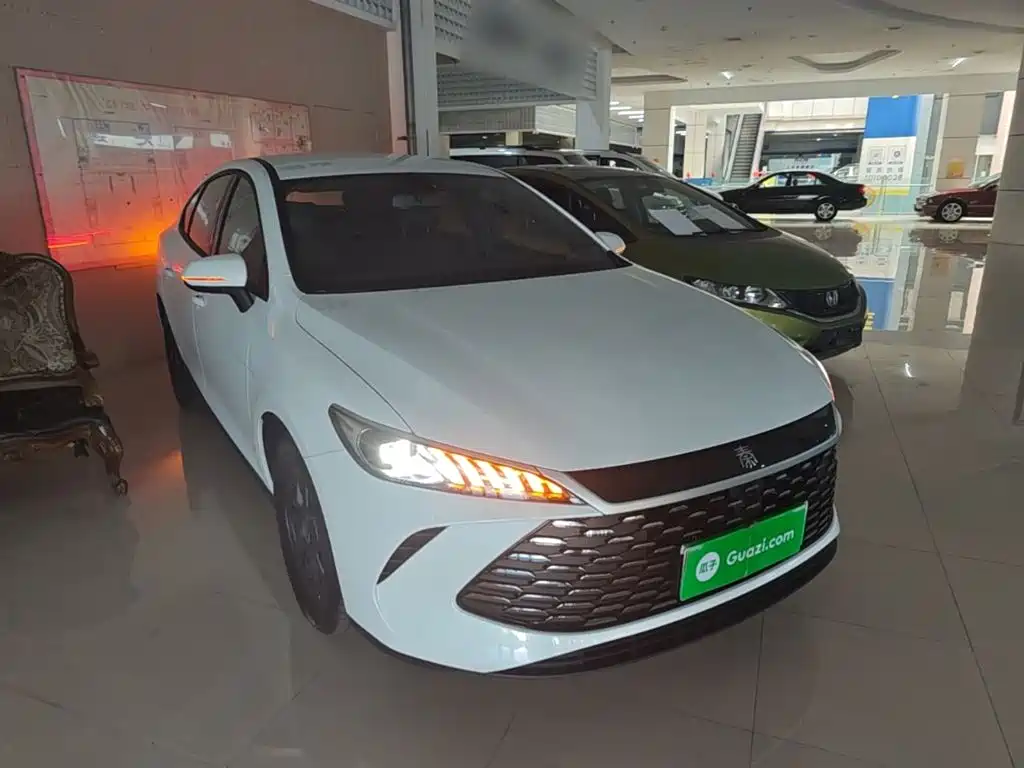 BYD Qin PLUS — фото 4