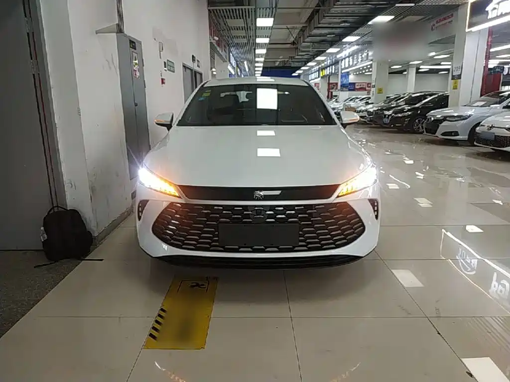 BYD Qin PLUS — фото 3
