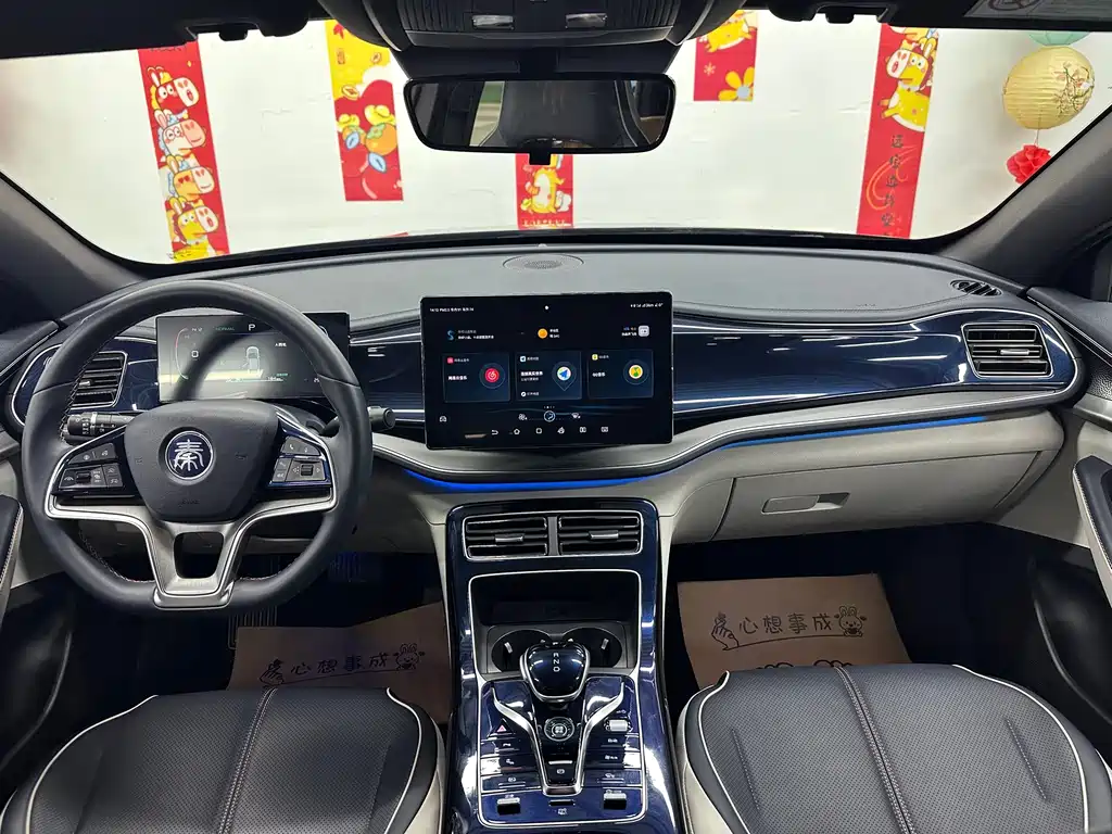 BYD Qin PLUS — фото 10