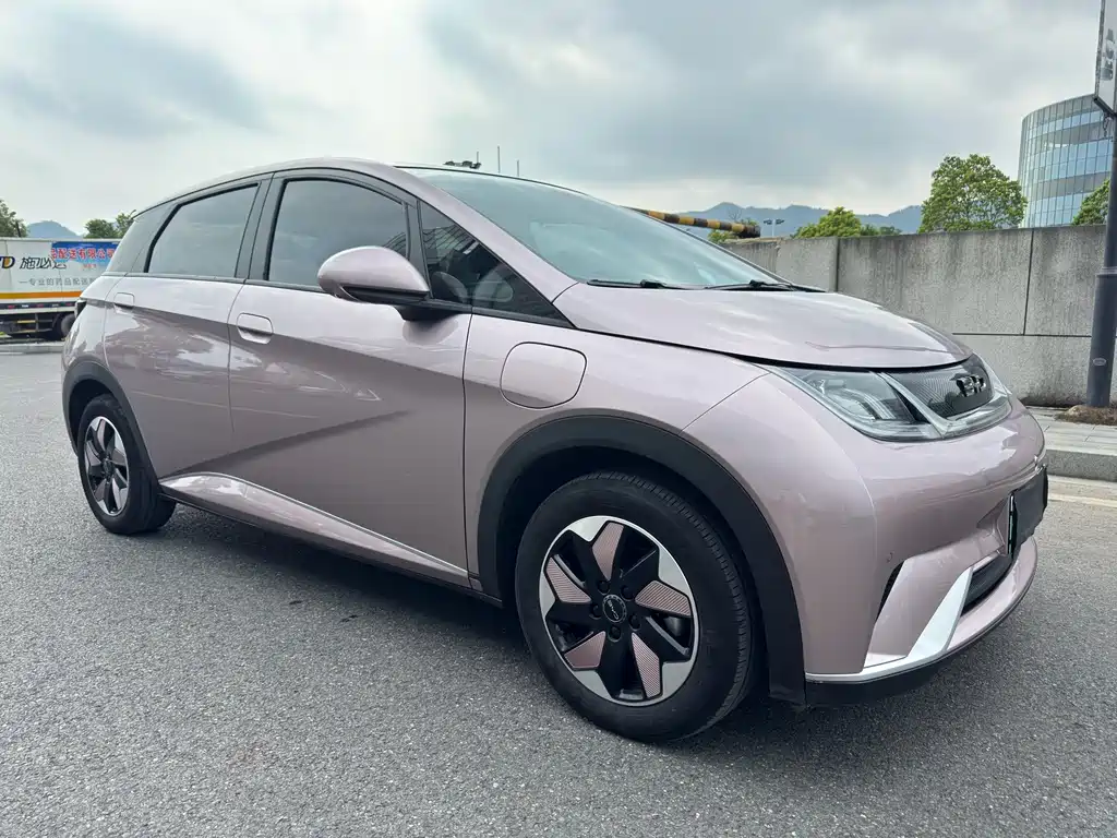 BYD Dolphin — фото 3