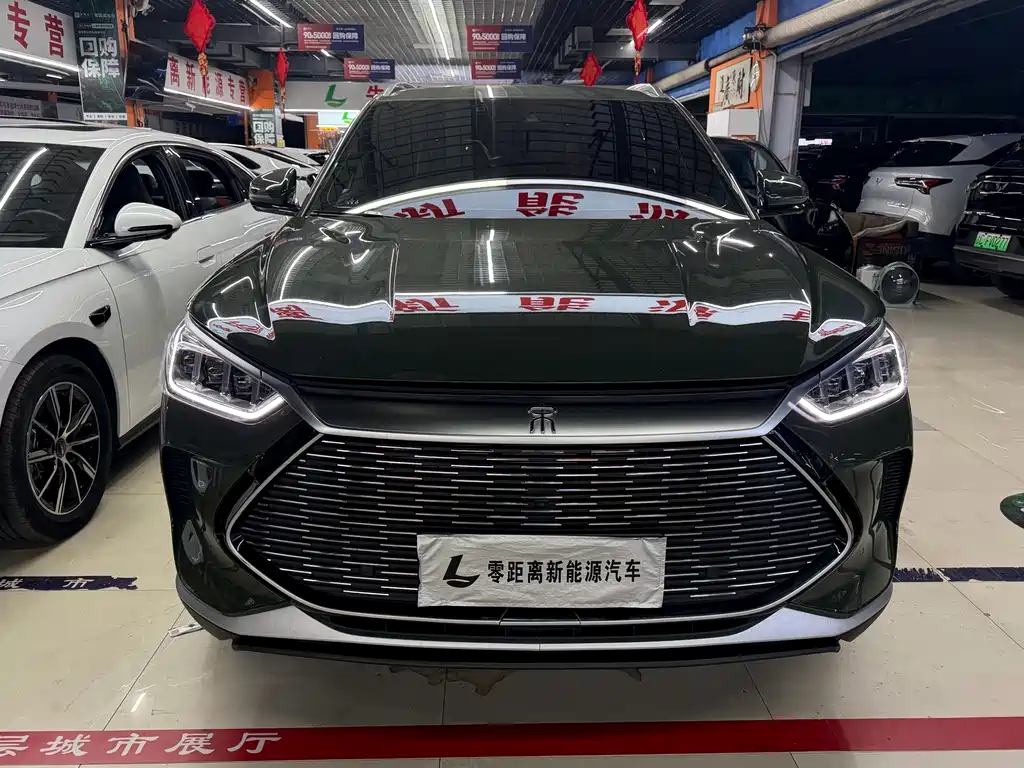 BYD PLUS New Energy — фото 2