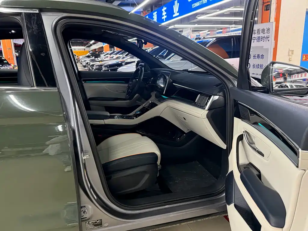 BYD PLUS New Energy — фото 17