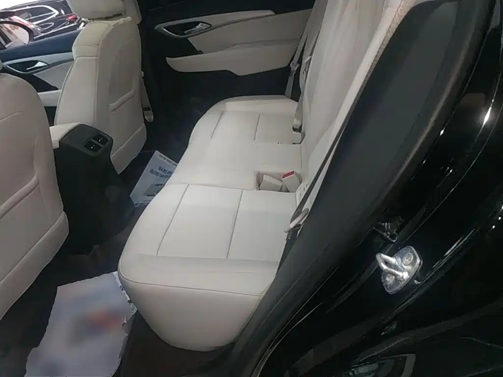 Buick Envision Plus — фото 17