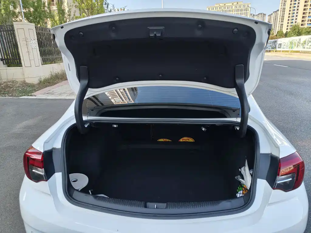 Buick Regal — фото 18