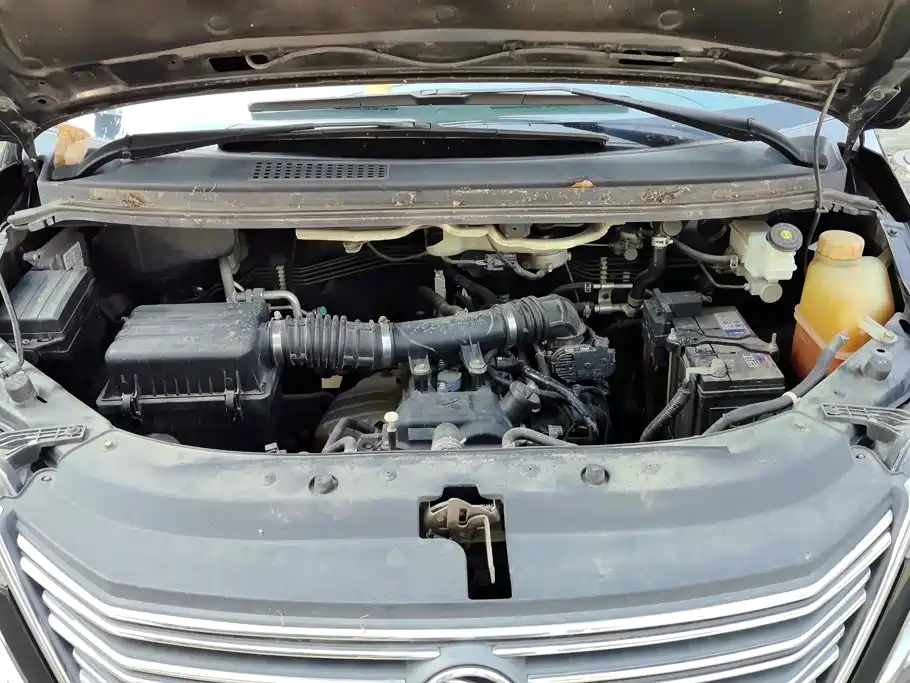 Fengxing Lingzhi — фото 10