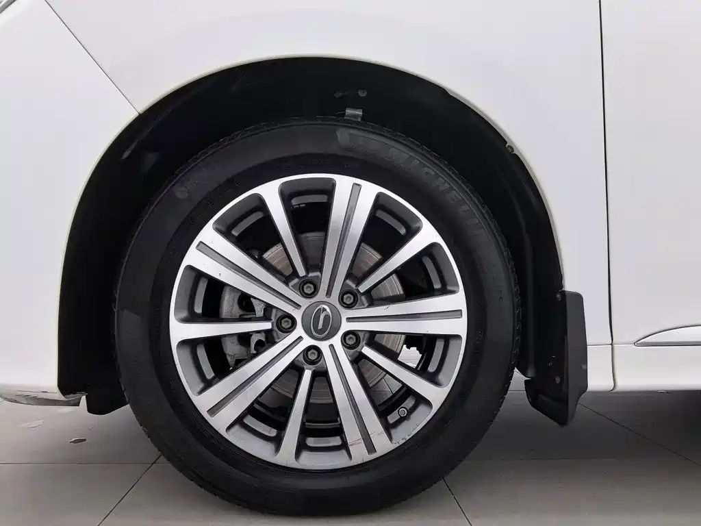 GAC Motor Trumpchi M8 — фото 17