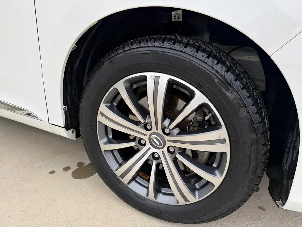 GAC Motor Trumpchi M8 — фото 19