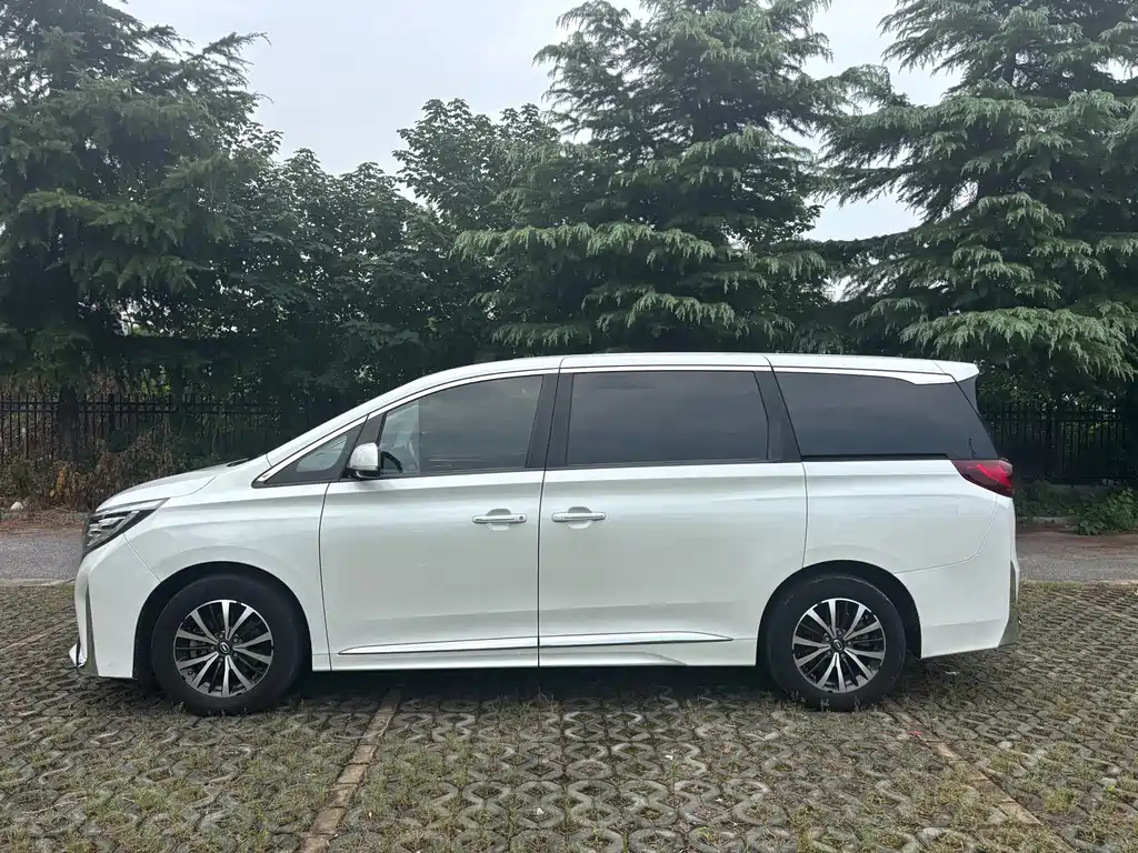 GAC Motor Trumpchi M8 — фото 3