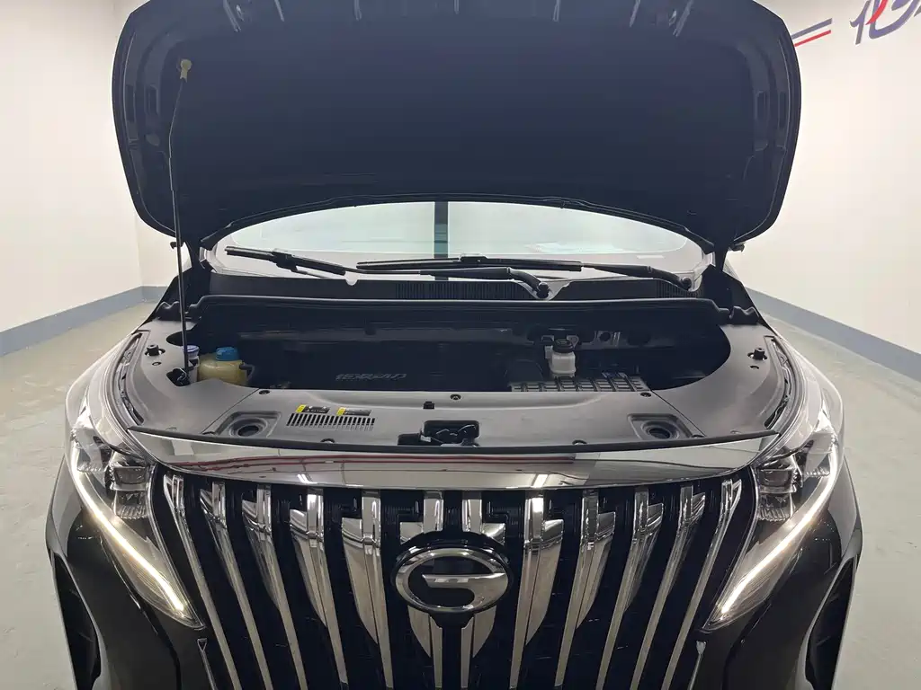 GAC Motor Trumpchi M8 — фото 20